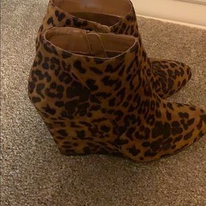 Madden girl leopard print booties